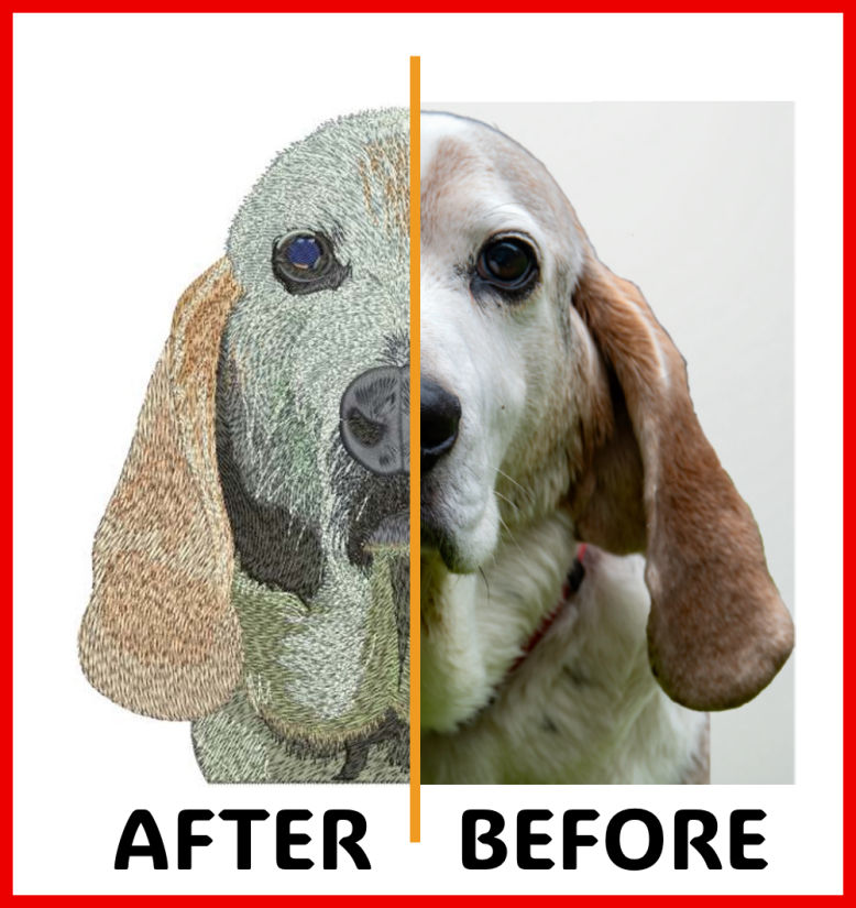 Picture of dog digitized before and after